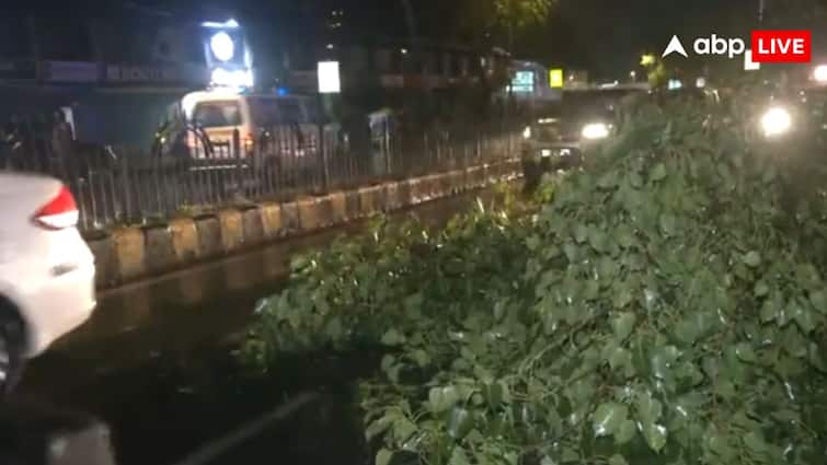 दिल्ली-NCR में भयानक बारिश और तूफान, 80 KM की स्पीड से चली हवाएं; कई इलाकों में गिरे ओले; PHOTOS