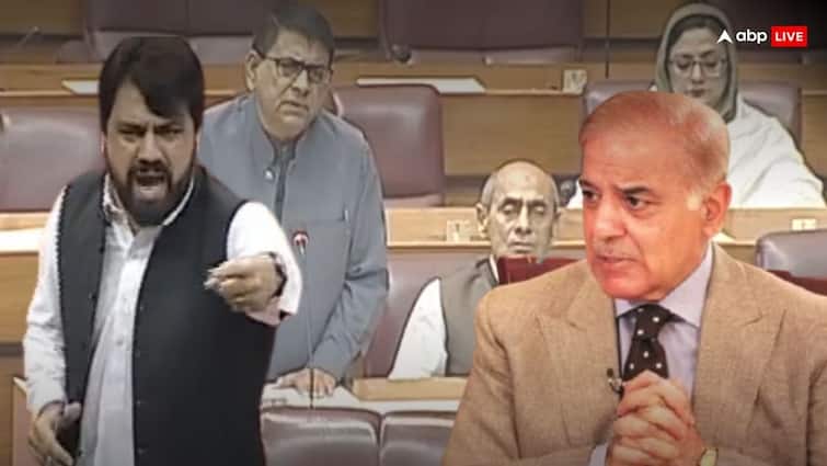 Operation Sindoor India Strikes in Pakistan PTI MP Shahid Khatak angry on Shehbaz Sharif Indian Pakistan Conflict