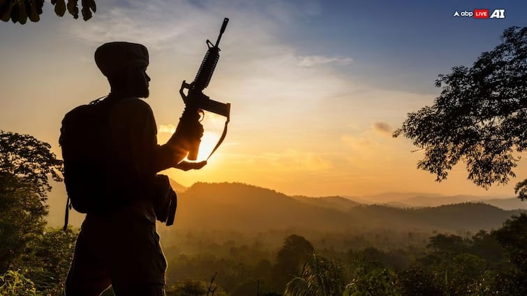 Operation Sindoor Pehalgam Terror Attack Jammu & Kashmir pok get information from sleeper cells in India Colonel Sohi ANNA