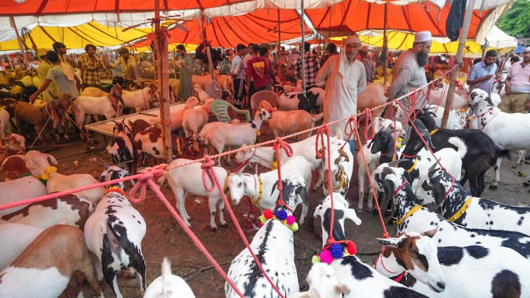 Eid Al Adha 2025 Assam Government big message to whom do illegal slaughter of animals police arrested 16 people