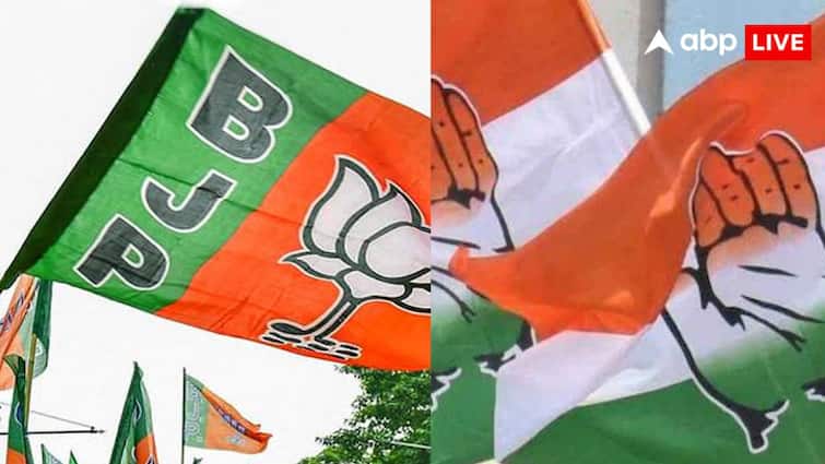 BJP spent 1494 crore during 2024 Lok Sabha elections Congress stood second AAP filed spent after 168 days ADR report