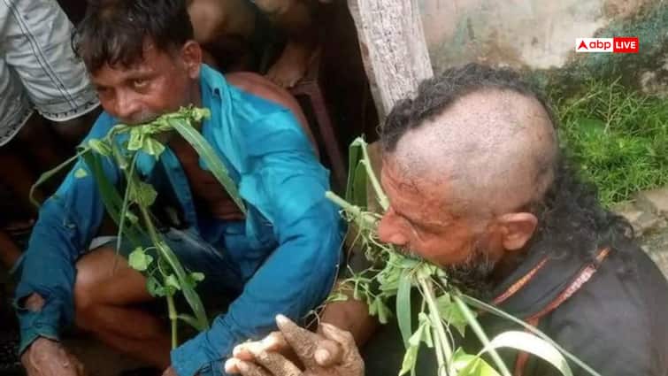 Two Dalits beaten hair chopped off forced to eat cattle feed in Odisha ganjam