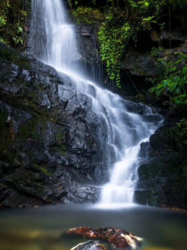 10 Monsoon Travel Experiences To Share With Your Kids This Rainy Season
