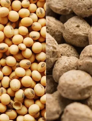 Soya Bean vs Soya Chunks: 8 key differences, nutritional profile, health benefits, more