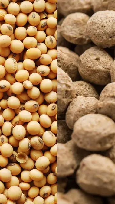 Soya Bean vs Soya Chunks: 8 key differences, nutritional profile, health benefits, more