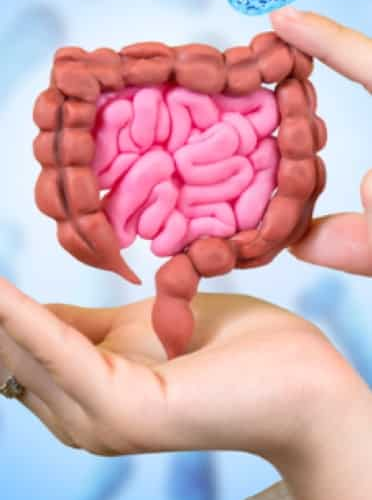 Improve gut health naturally: 7 foods to improve your bowel movement 