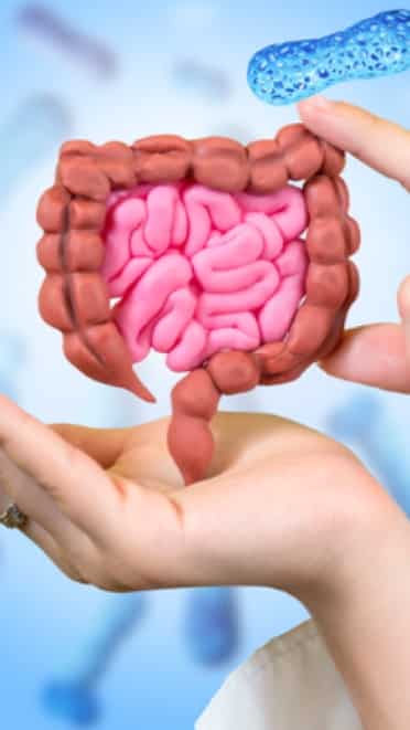 Improve gut health naturally: 7 foods to improve your bowel movement 
