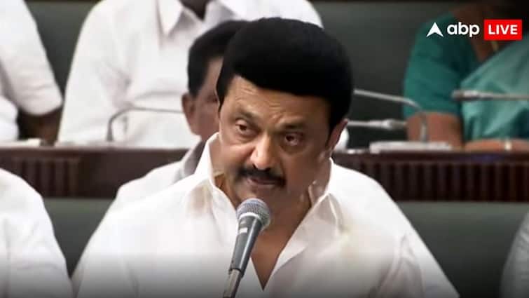 Tamil Nadu Election 2026: | Tamil Nadu election 2026 DMK vs AIADMK future analysis find in vote vibes survey