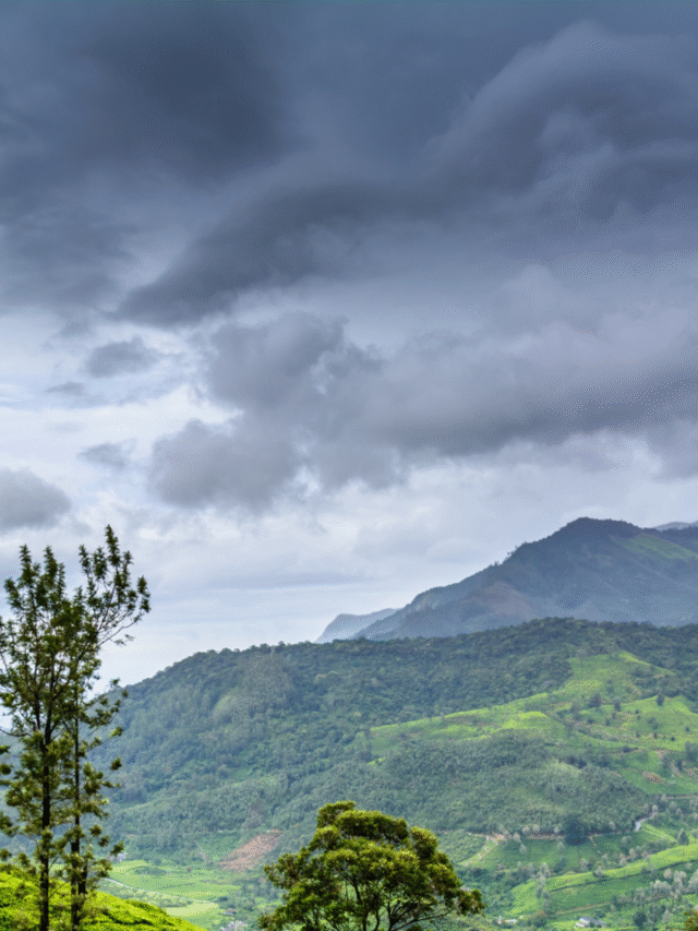 8 Places In India Where Weather Is The Main Attraction