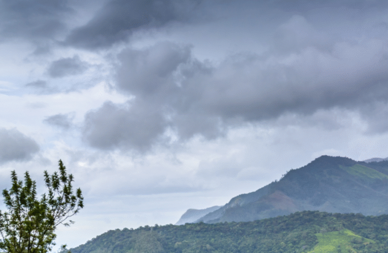 8 Places In India Where Weather Is The Main Attraction