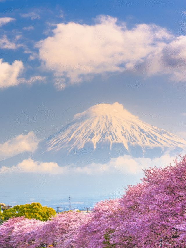 7 Must-Visit Places In Japan For First Time Visitors