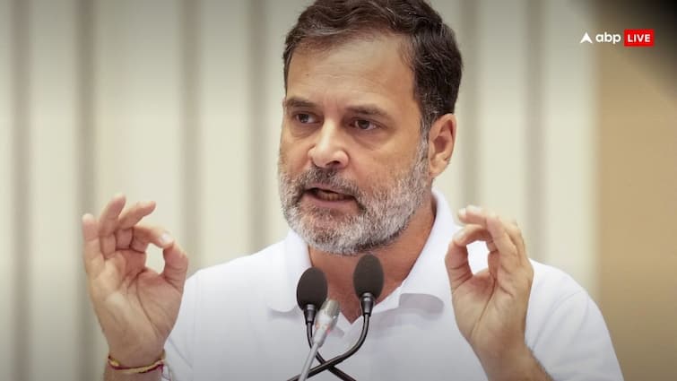 सुप्रीम कोर्ट ने राहुल गांधी को लगाई फटकार, बोले- अगर आप सच्चे भारतीय होंगे तो ऐसी बातें नहीं कहेंगे