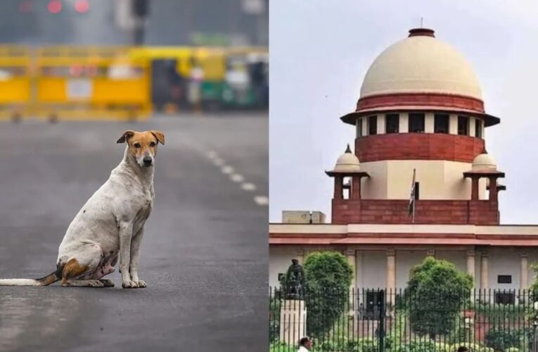 “सुप्रीम कोर्ट के आवारा कुत्तों पर आदेश को राहुल गांधी ने बताया अमानवीय, उठाए बड़े सवाल”